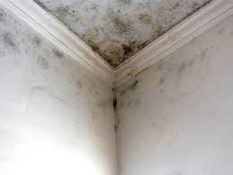 Best Mold Removal for HVAC Installations in West Milton, PA