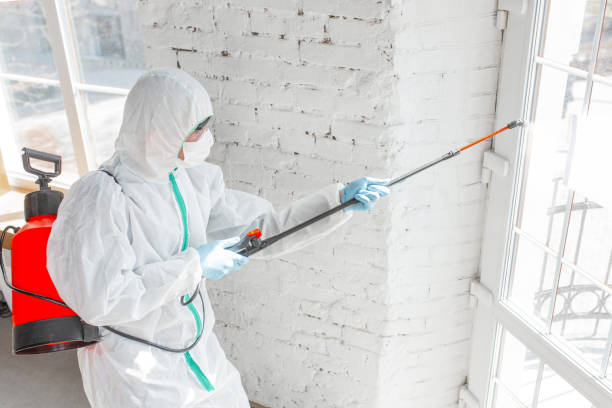 Best Emergency Mold Remediation in West Milton, PA